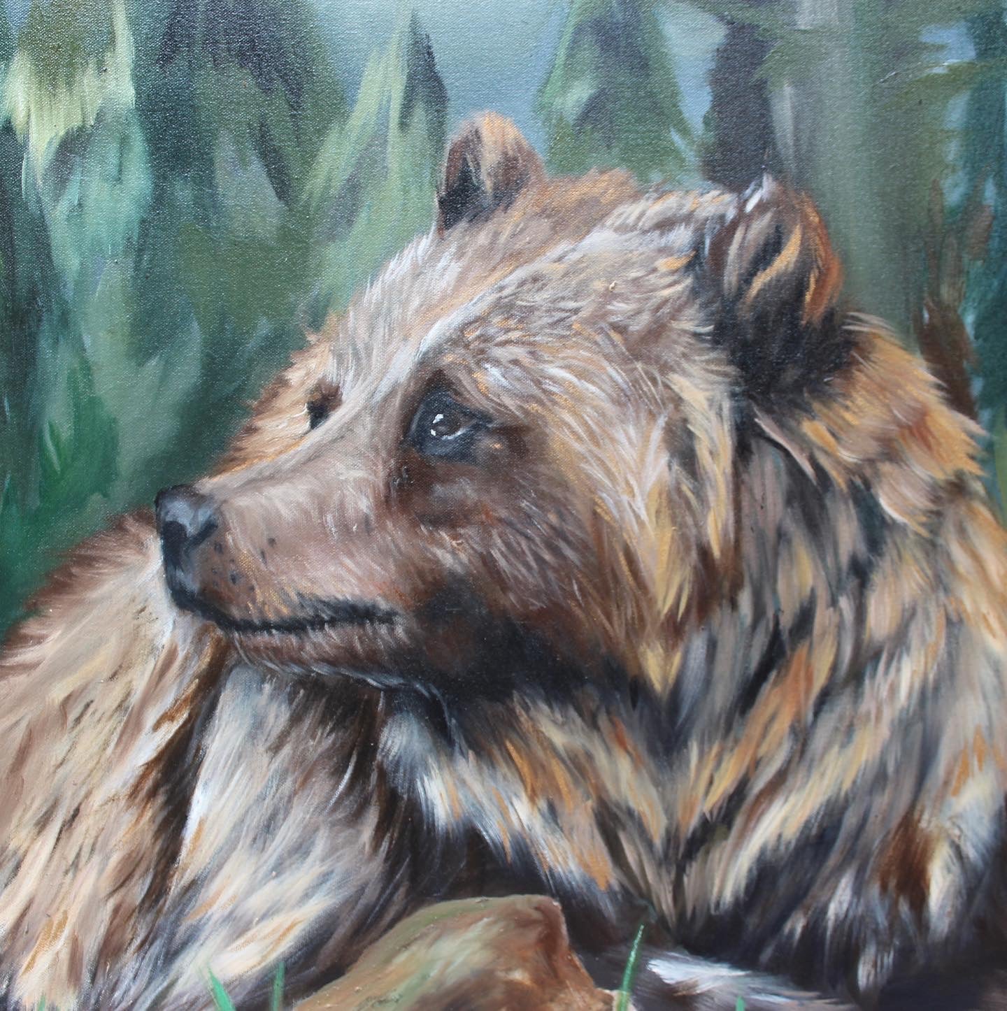 Grizzly in Meadow
