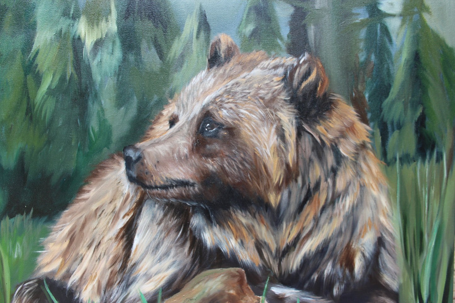 Grizzly in Meadow