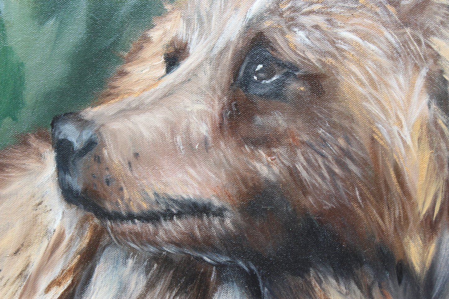 Grizzly in Meadow