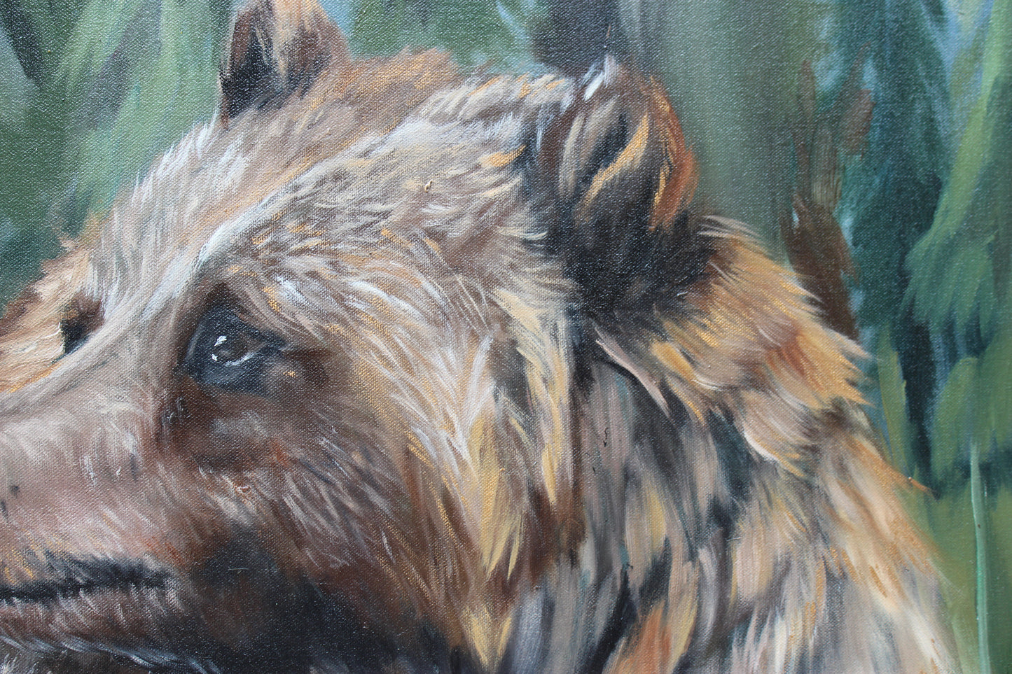 Grizzly in Meadow
